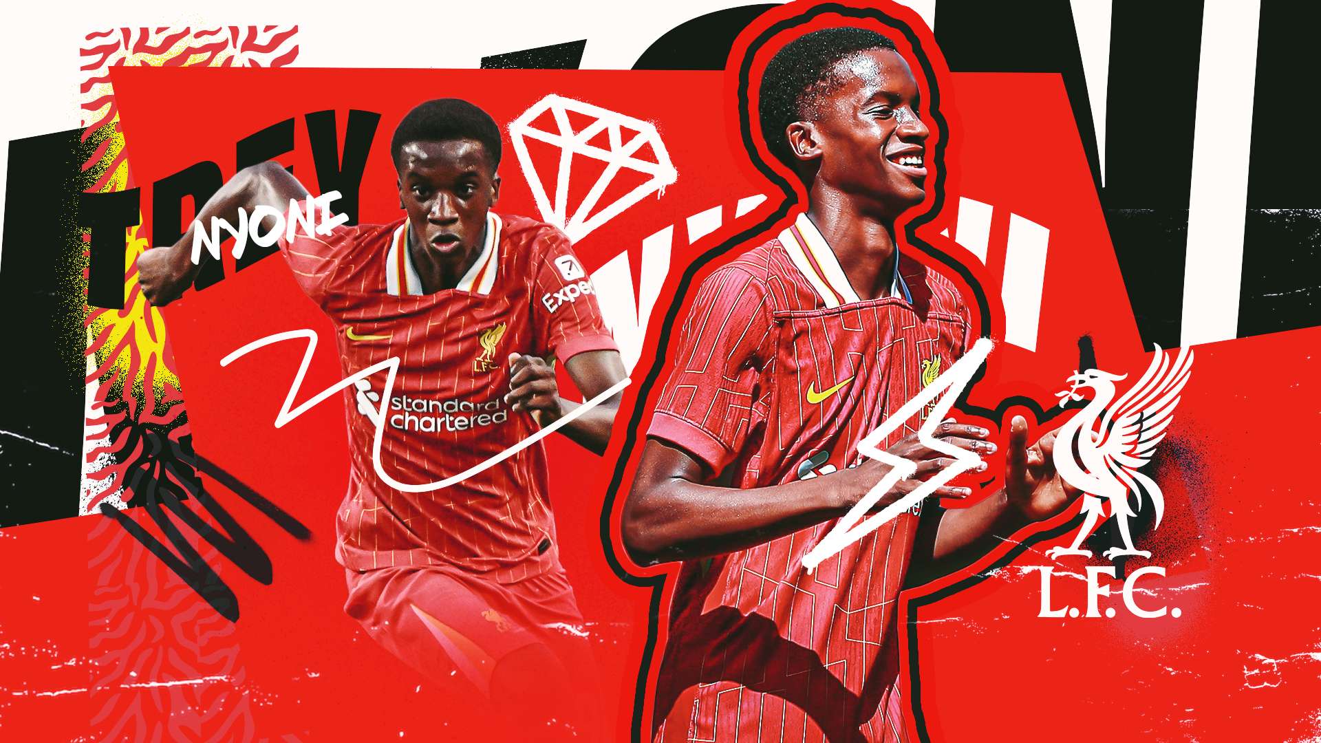 组织的透明 组织的透明